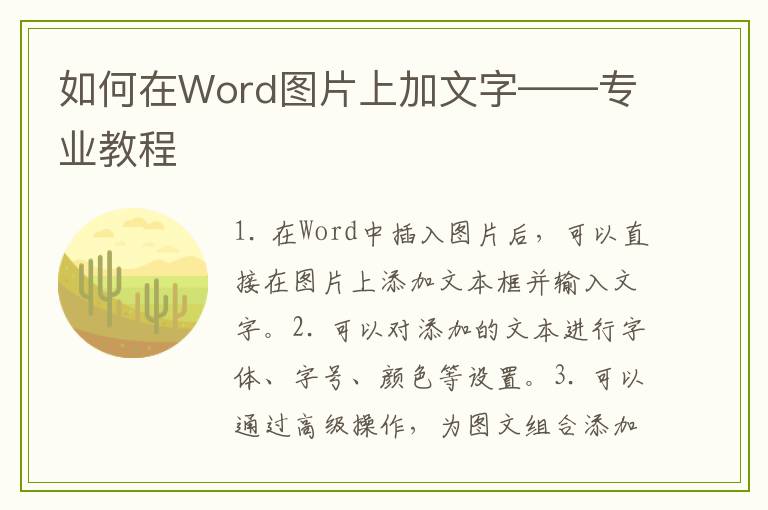 如何在Word图片上加文字——专业教程
