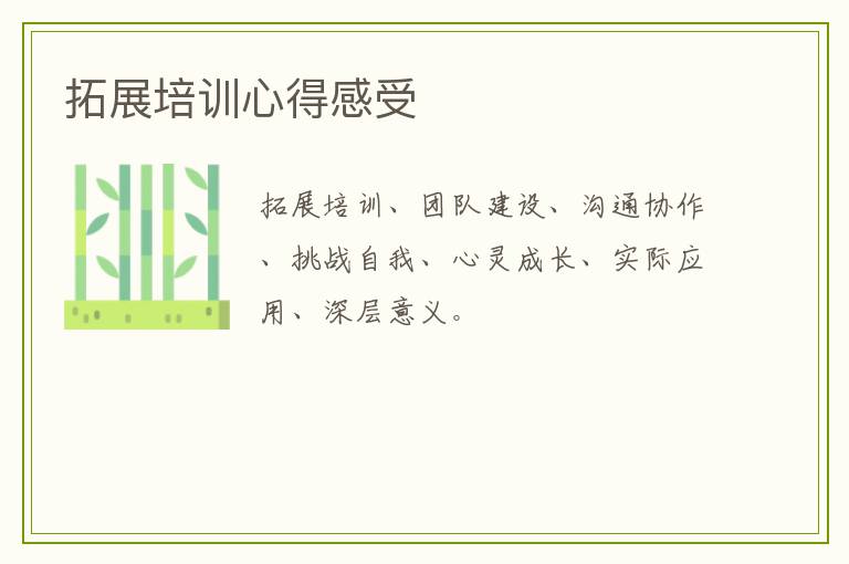 拓展培训心得感受