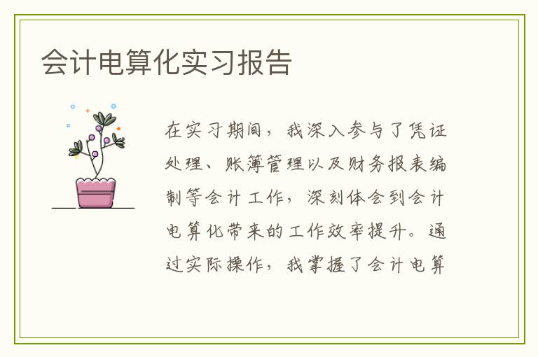会计电算化实习报告